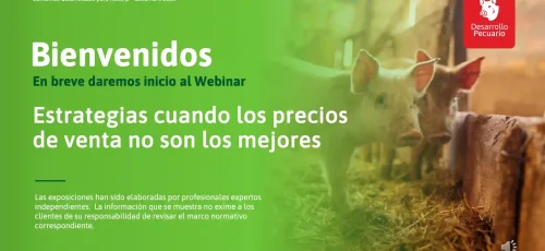 Portada webinar pecuario