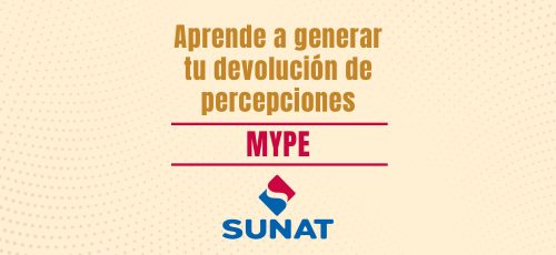 Portada_PercepcionIGV_MYPE