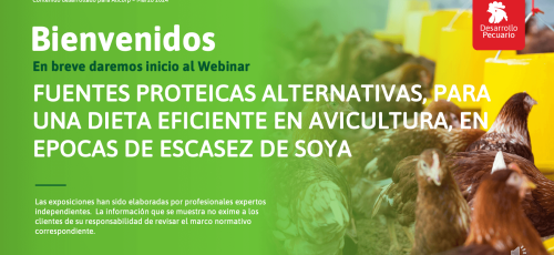 Webinar portada cj (1)